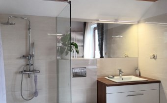 -łazienka z wc