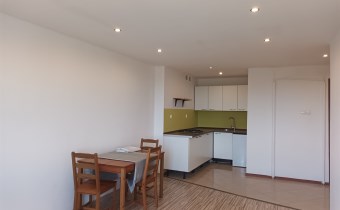 -salon z aneksem kuchennym