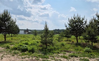 -widok z tarasu domu na działkę