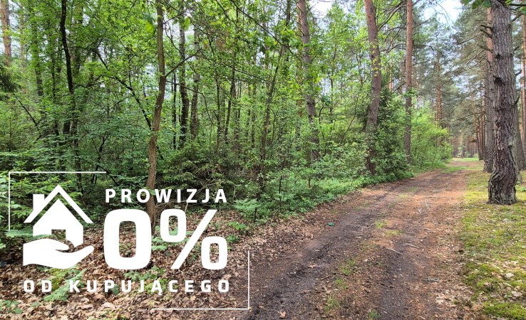 działka na sprzedaż - Tomaszów Mazowiecki (gw), Karolinów