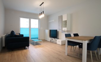 -salon z kuchnią i jadalnią