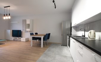 -salon z kuchnią i jadalnią