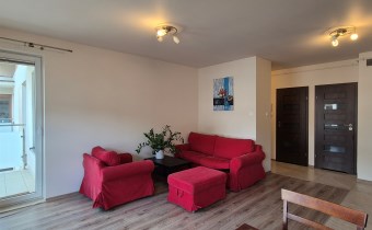 -salon z aneksem kuchennym