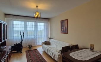 -salon z wyjściem na balkon