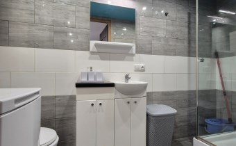 -łazienka z wc