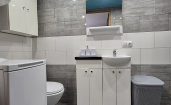 -łazienka z wc