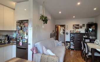 -aneks kuchenny z salonem