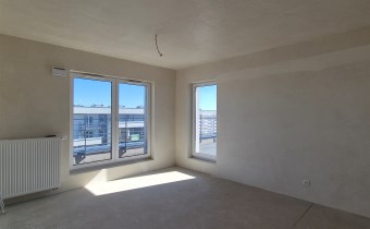 -salon z aneksem kuchennym i wyjściem na taras