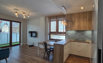 -salon z aneksem kuchennym