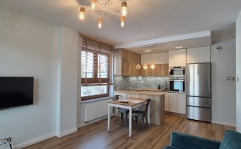 -salon z aneksem kuchennym