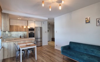 -salon z aneksem kuchennym