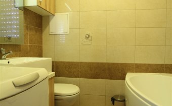-łazienka z wc