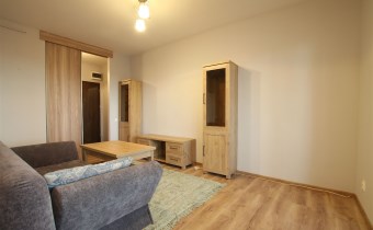 -salon z aneksem kuchennym