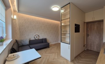 -salon z aneksem kuchennym