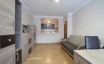 -salon z anekem kuchennym