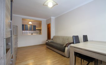 -salon z anekem kuchennym