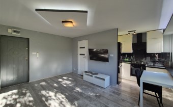 -salon z aneksem kuchennym