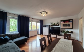 -salon z wyjściem na balkon